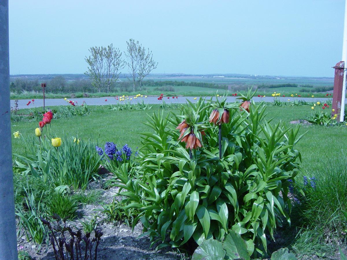 Kardybvej 8 Bed and Breakfast Tastum Buitenkant foto